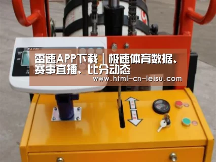 雷速体育网页版案例展示三(图1)