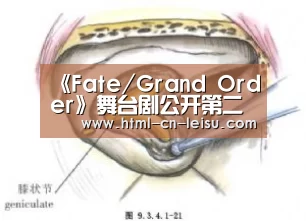 雷速体育网页端