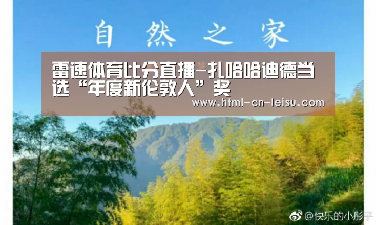 雷速体育