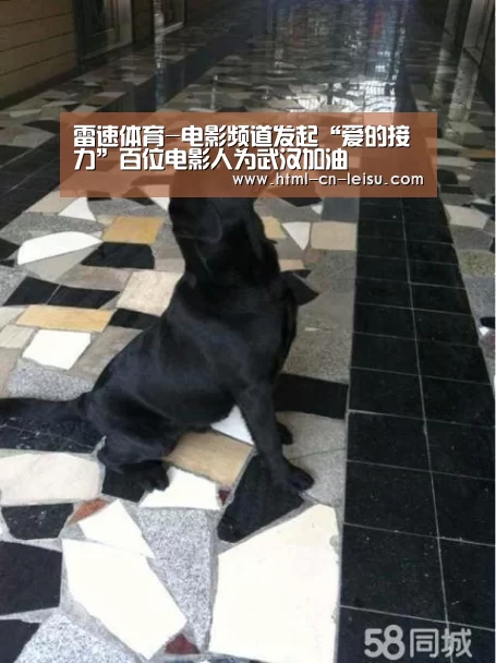 雷速官网