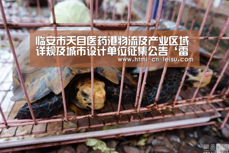 临安市天目医药港物流及产业区域详规及城市设计单位征集公告‘雷速体育’(图1) 雷速体育网页端