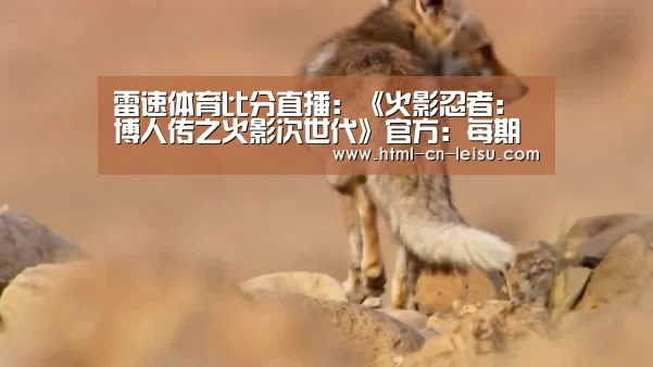 雷速体育网页版